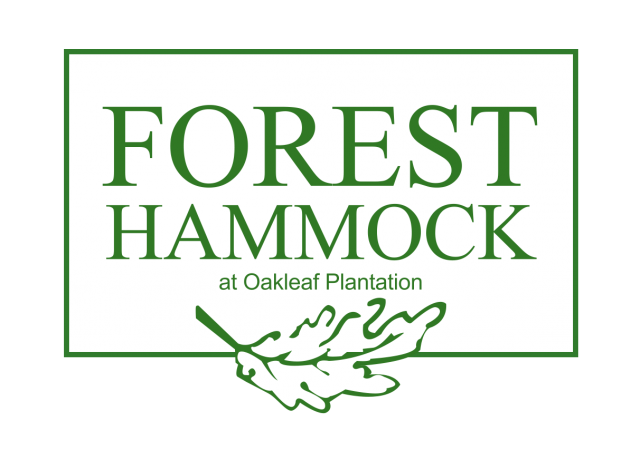 foresthammock-logo.png